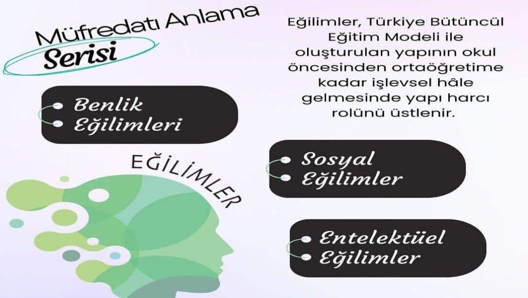 Müfredatı Anlamak